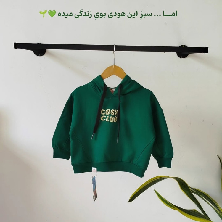 هودی سبز مسترگریفین